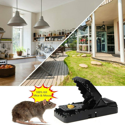 Heavy Duty Plastic Mouse Trap